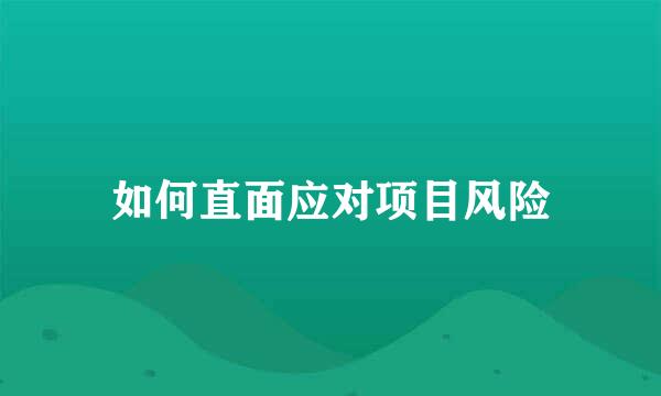 如何直面应对项目风险