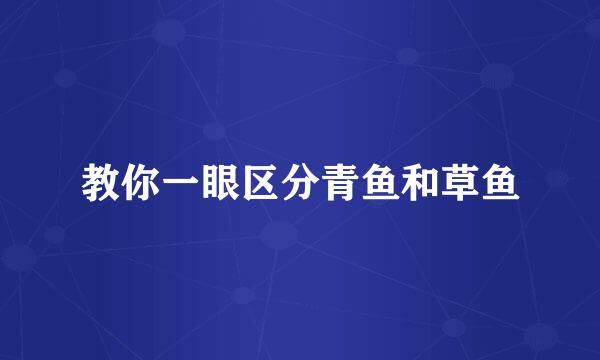 教你一眼区分青鱼和草鱼