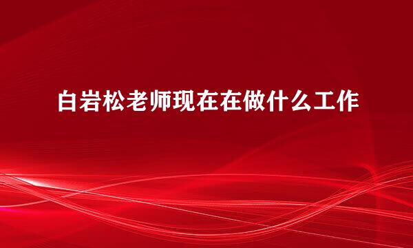 白岩松老师现在在做什么工作
