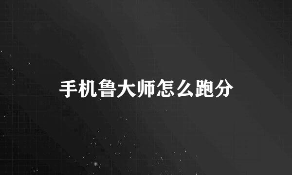 手机鲁大师怎么跑分