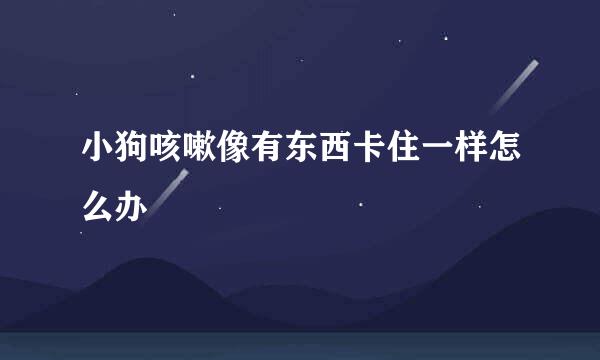 小狗咳嗽像有东西卡住一样怎么办