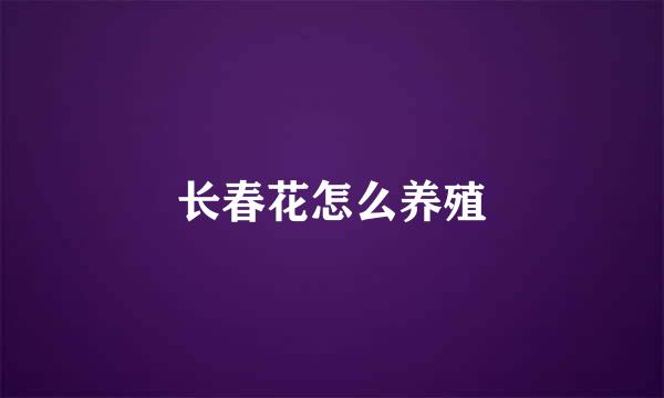 长春花怎么养殖