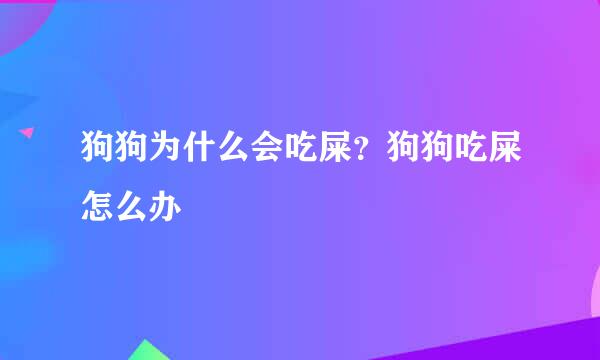 狗狗为什么会吃屎？狗狗吃屎怎么办