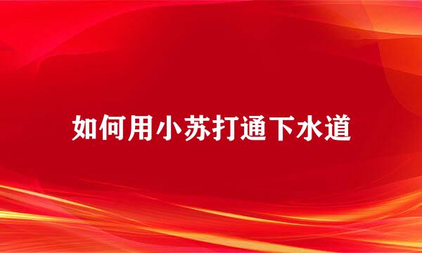 如何用小苏打通下水道