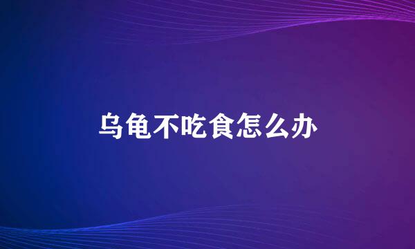 乌龟不吃食怎么办