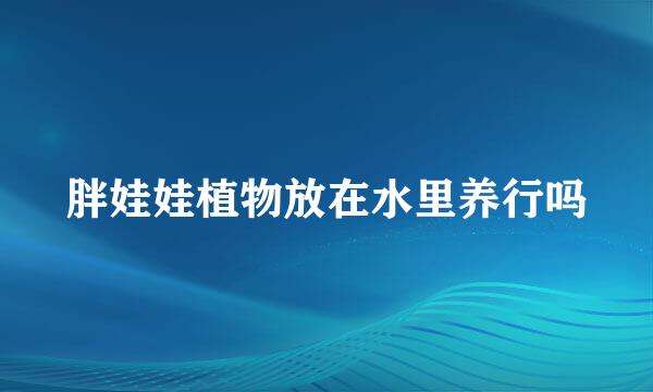 胖娃娃植物放在水里养行吗
