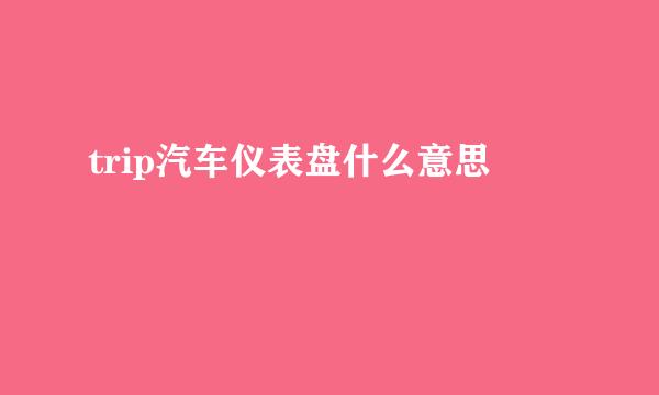 trip汽车仪表盘什么意思