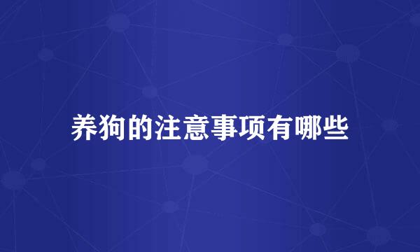 养狗的注意事项有哪些