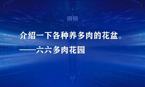 介绍一下各种养多肉的花盆。——六六多肉花园