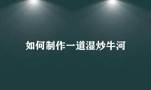 如何制作一道湿炒牛河