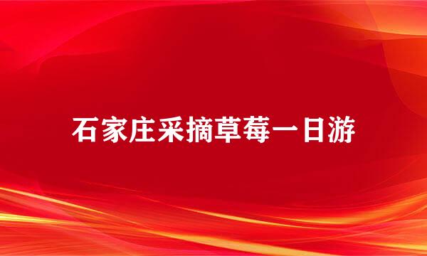 石家庄采摘草莓一日游