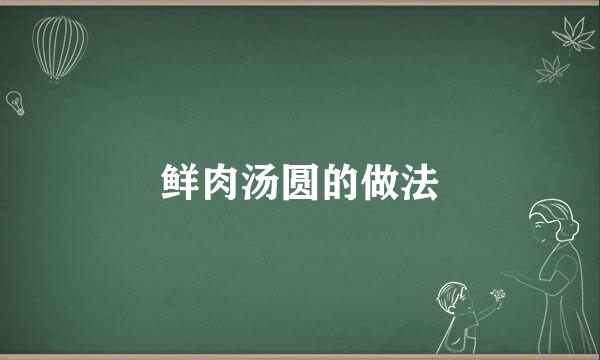 鲜肉汤圆的做法