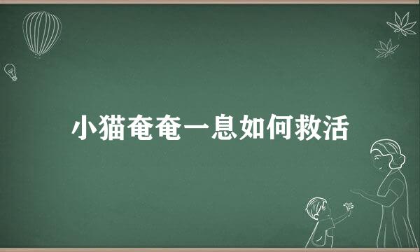 小猫奄奄一息如何救活