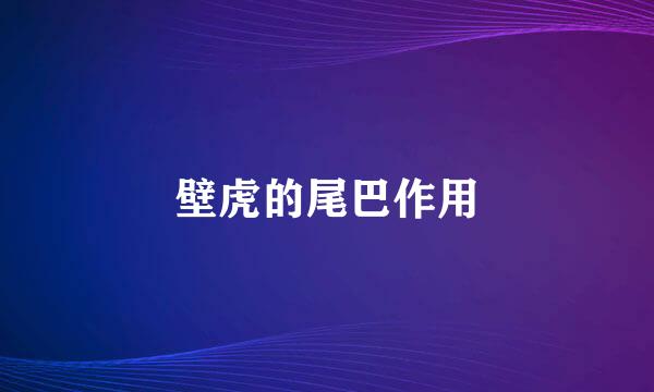 壁虎的尾巴作用