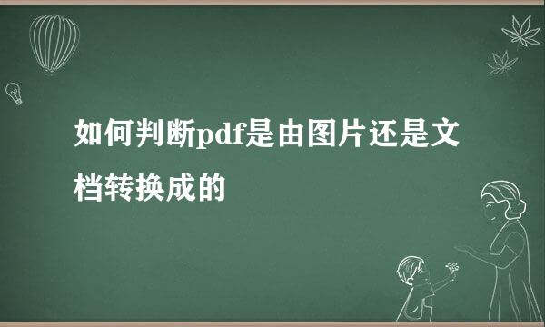 如何判断pdf是由图片还是文档转换成的