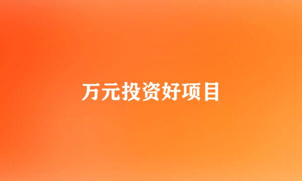 万元投资好项目