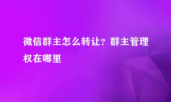 微信群主怎么转让?群主管理权在哪里