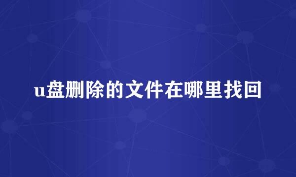 u盘删除的文件在哪里找回