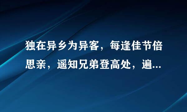 独在异乡为异客，每逢佳节倍思亲，遥知兄弟登高处，遍插茱萸少一人，是什么意思