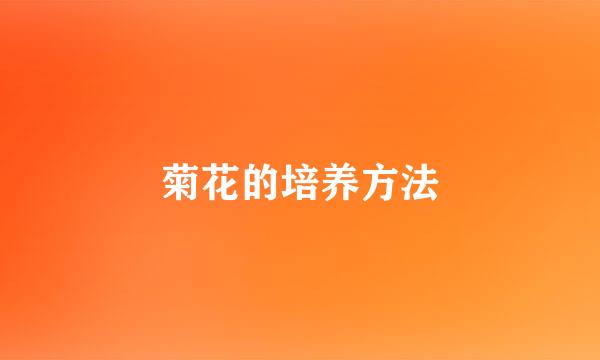 菊花的培养方法
