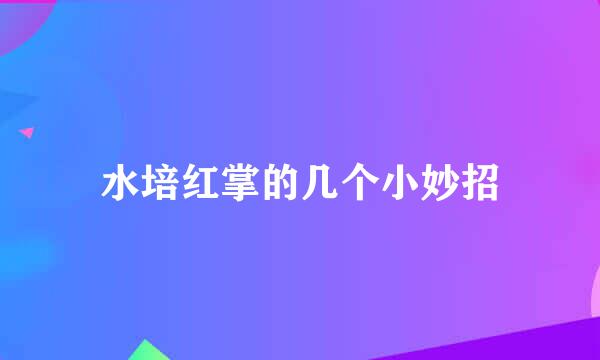 水培红掌的几个小妙招