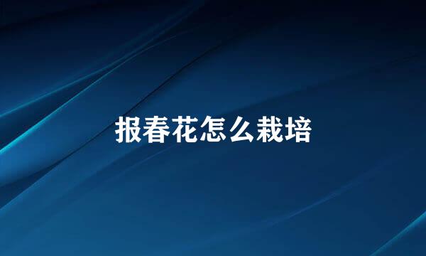 报春花怎么栽培