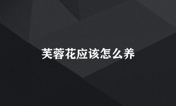 芙蓉花应该怎么养