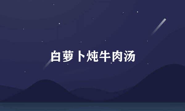 白萝卜炖牛肉汤