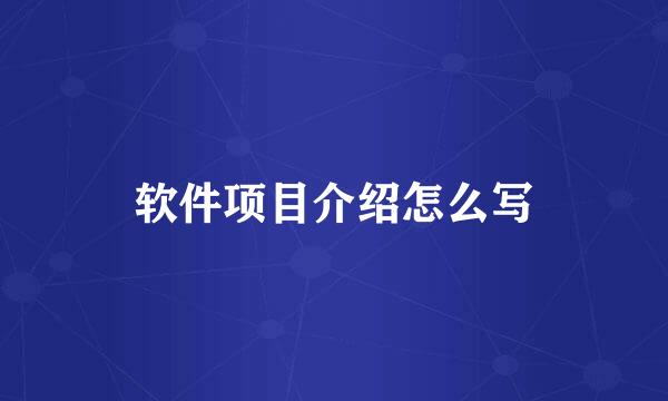 软件项目介绍怎么写
