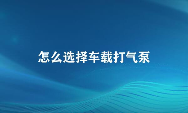 怎么选择车载打气泵