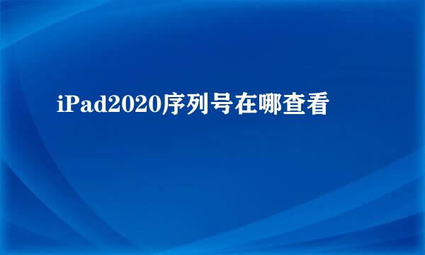 iPad2020序列号在哪查看