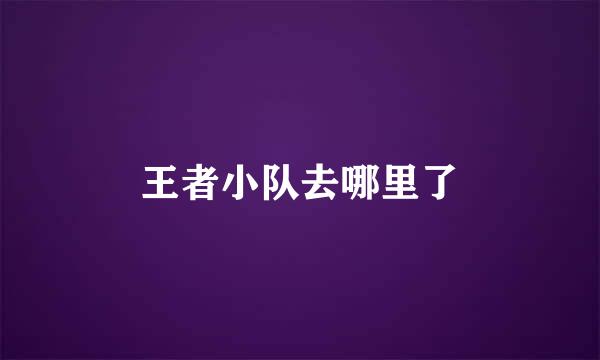 王者小队去哪里了