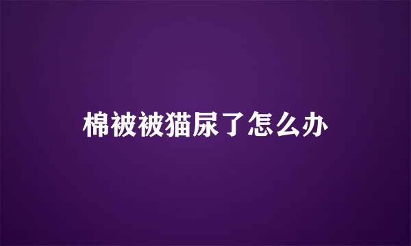 棉被被猫尿了怎么办