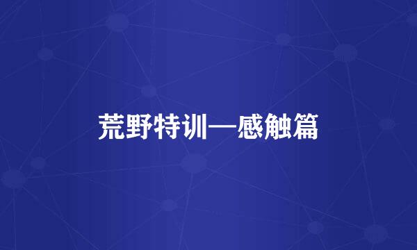 荒野特训—感触篇
