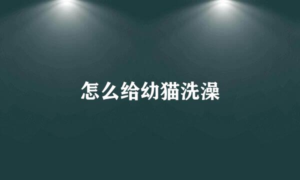 怎么给幼猫洗澡