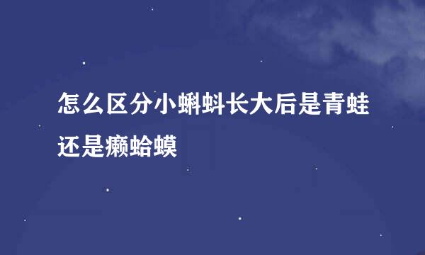 怎么区分小蝌蚪长大后是青蛙还是癞蛤蟆