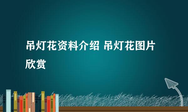 吊灯花资料介绍 吊灯花图片欣赏