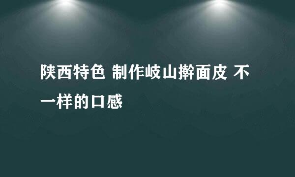 陕西特色 制作岐山擀面皮 不一样的口感