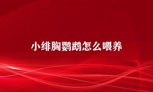 小绯胸鹦鹉怎么喂养
