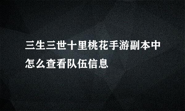 三生三世十里桃花手游副本中怎么查看队伍信息