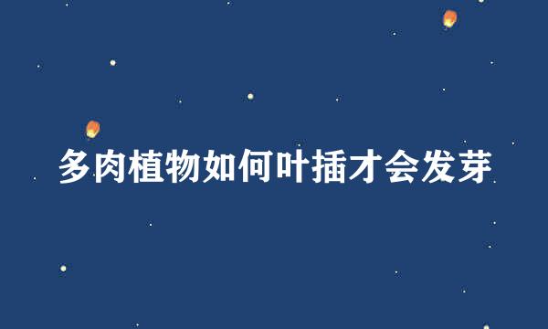 多肉植物如何叶插才会发芽