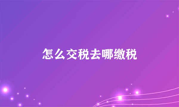 怎么交税去哪缴税