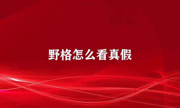 野格怎么看真假