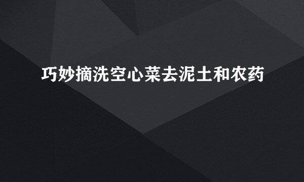 巧妙摘洗空心菜去泥土和农药
