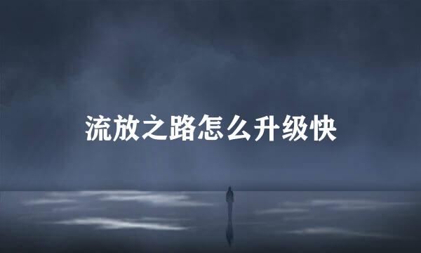 流放之路怎么升级快