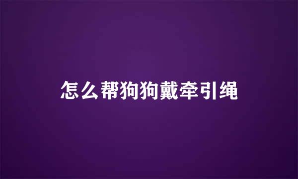 怎么帮狗狗戴牵引绳