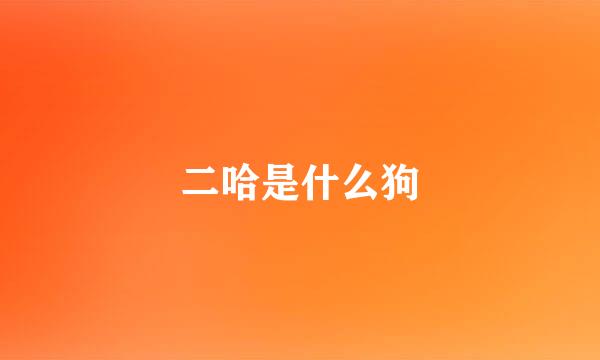 二哈是什么狗