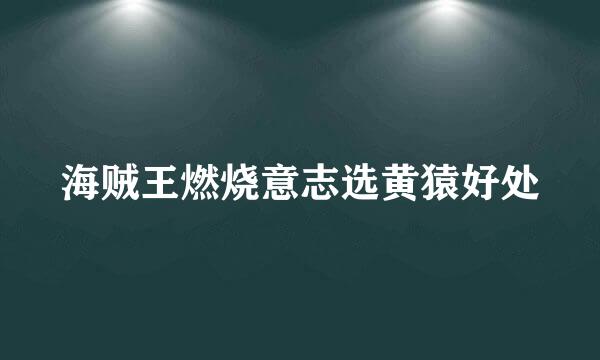 海贼王燃烧意志选黄猿好处