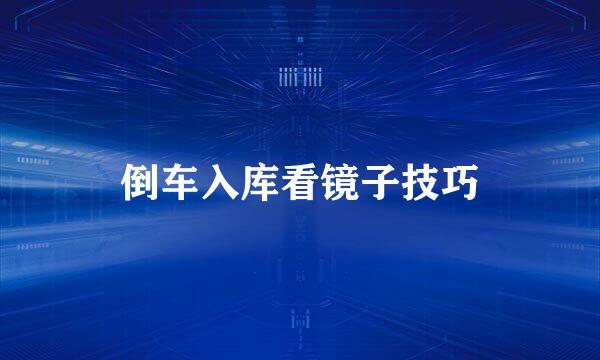 倒车入库看镜子技巧