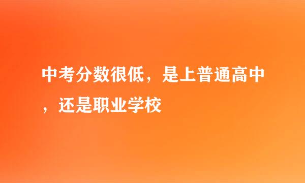 中考分数很低，是上普通高中，还是职业学校